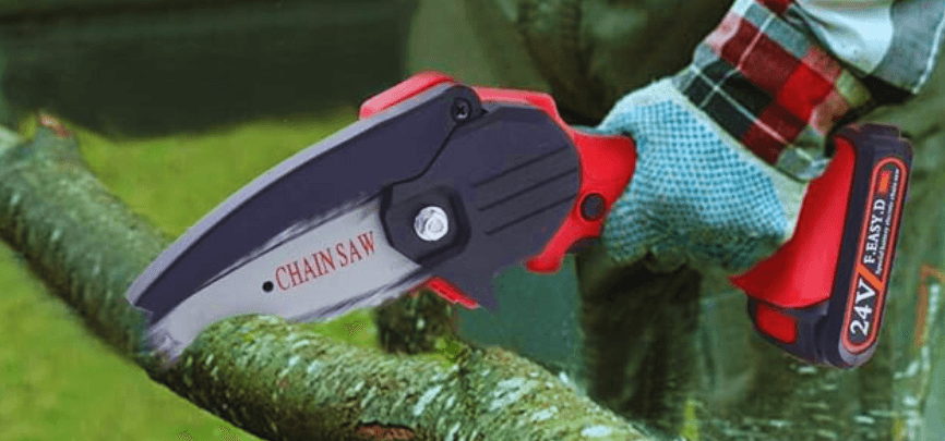 Bird Banner Background